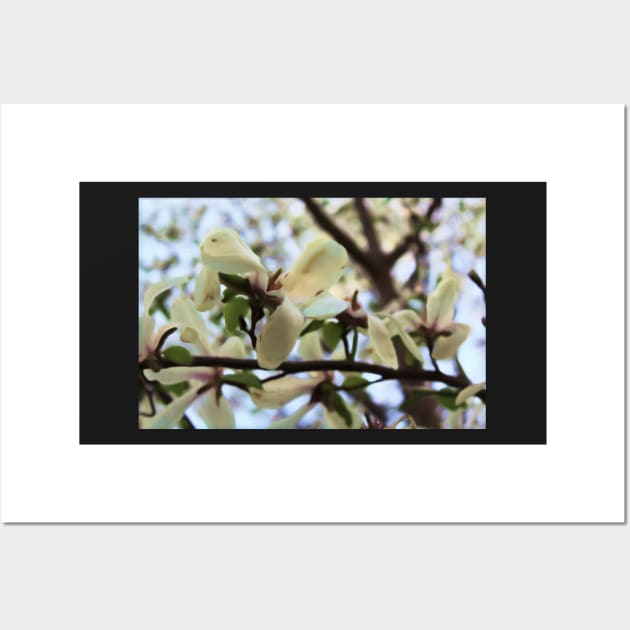 White flowers in spring Wall Art by cocodes